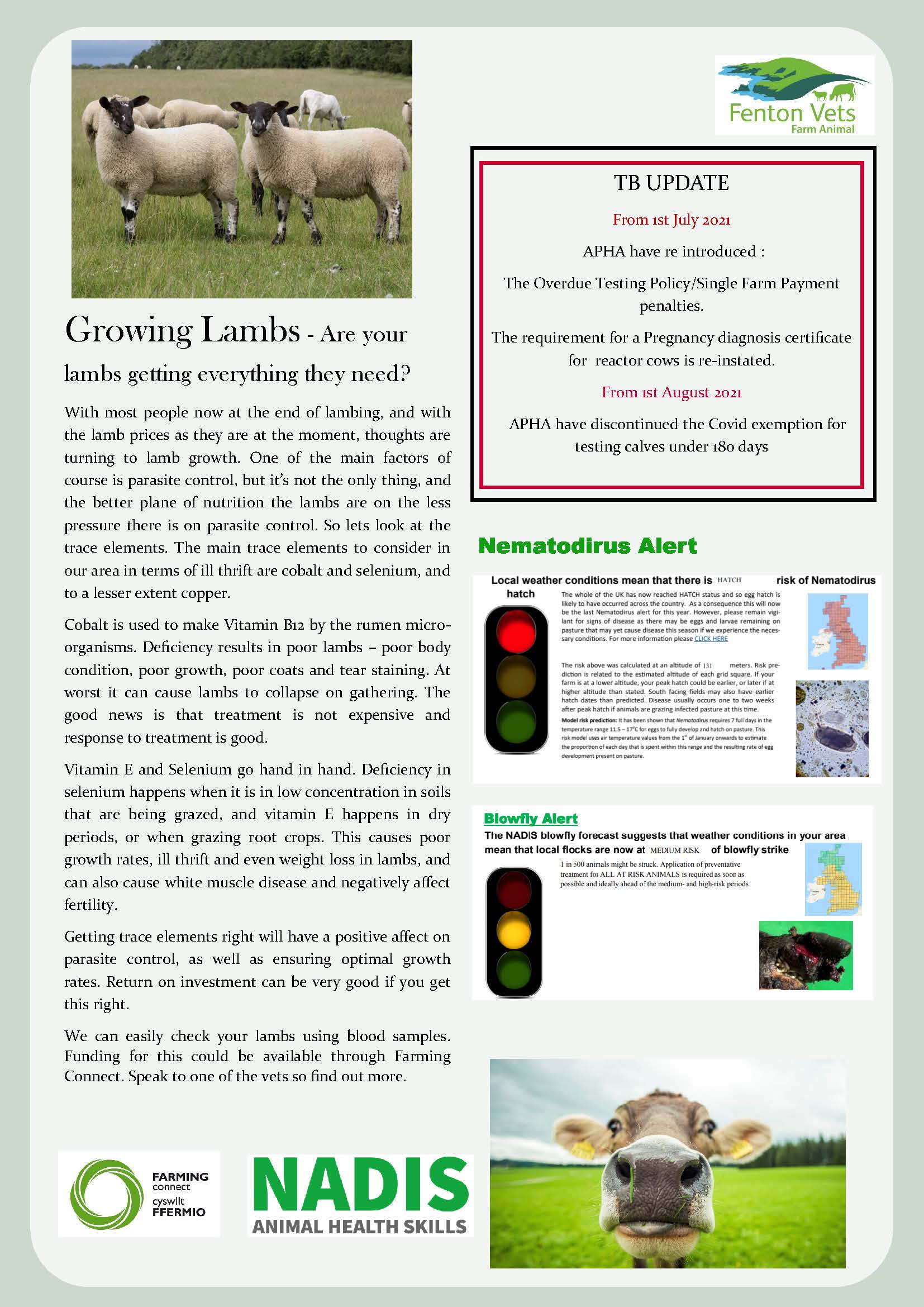 Farm Animal Newsletter July 2021 | Fenton Vets | Award-Winning Independent  Veterinary Service In Pembrokeshire