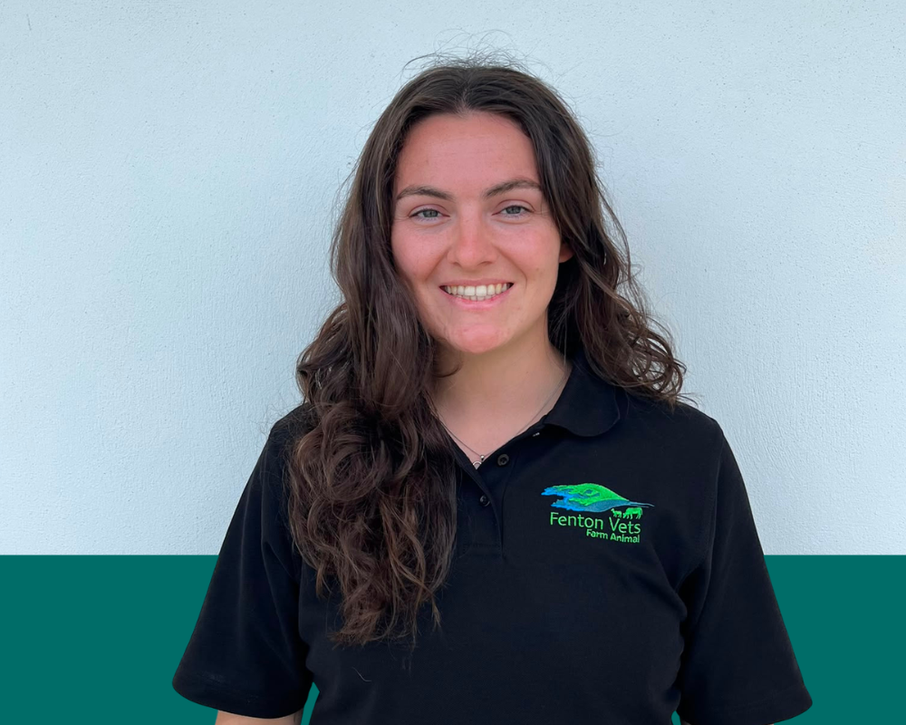 Introducing Sioned - our new intern!