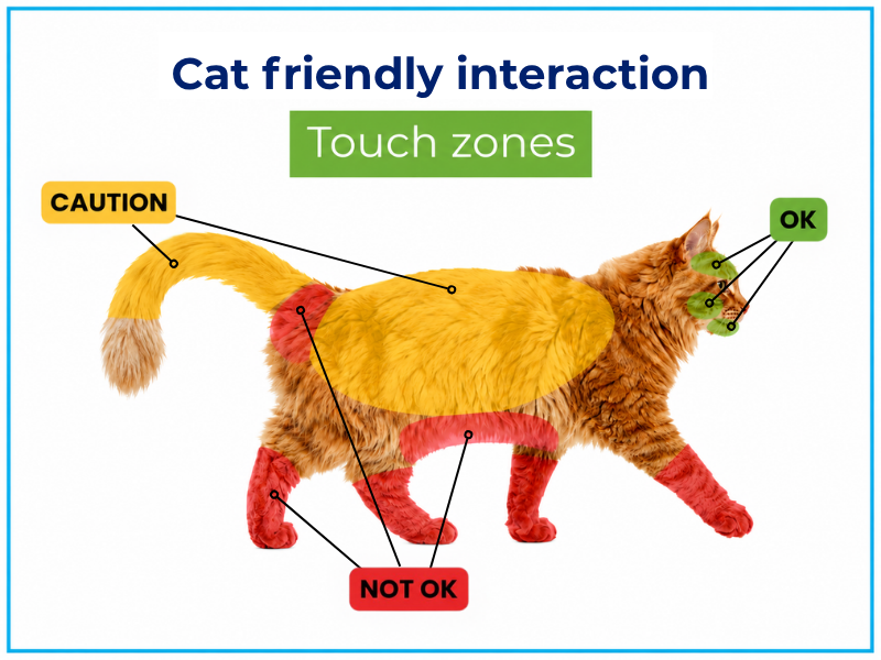 Cat friendly interaction: Touch zones
